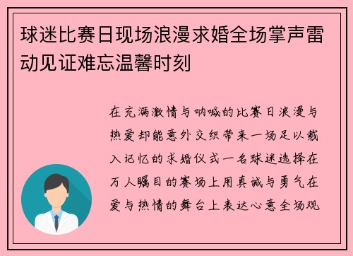 球迷比赛日现场浪漫求婚全场掌声雷动见证难忘温馨时刻